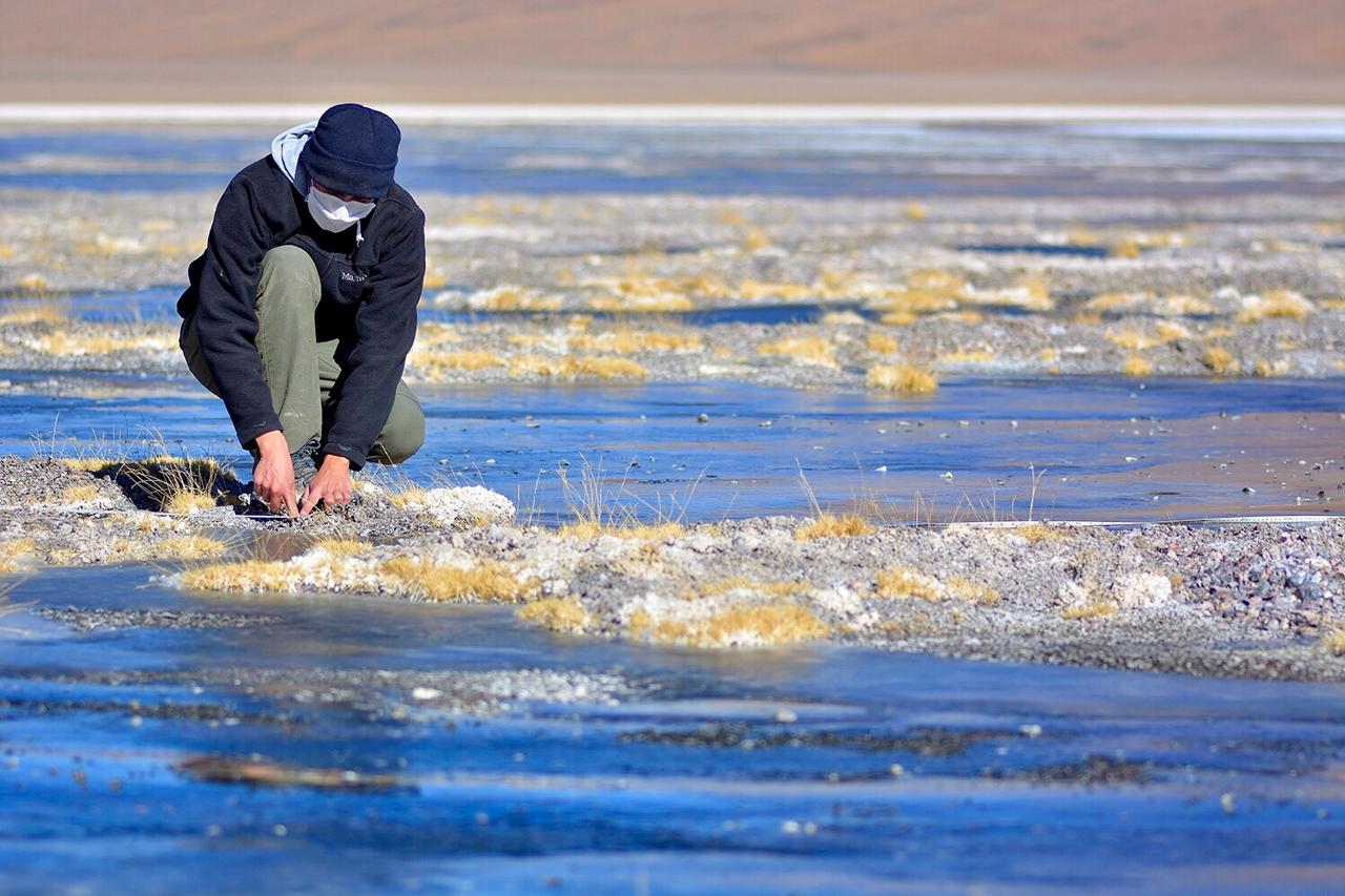 Consultoría Ambiental - Vida Silvestre