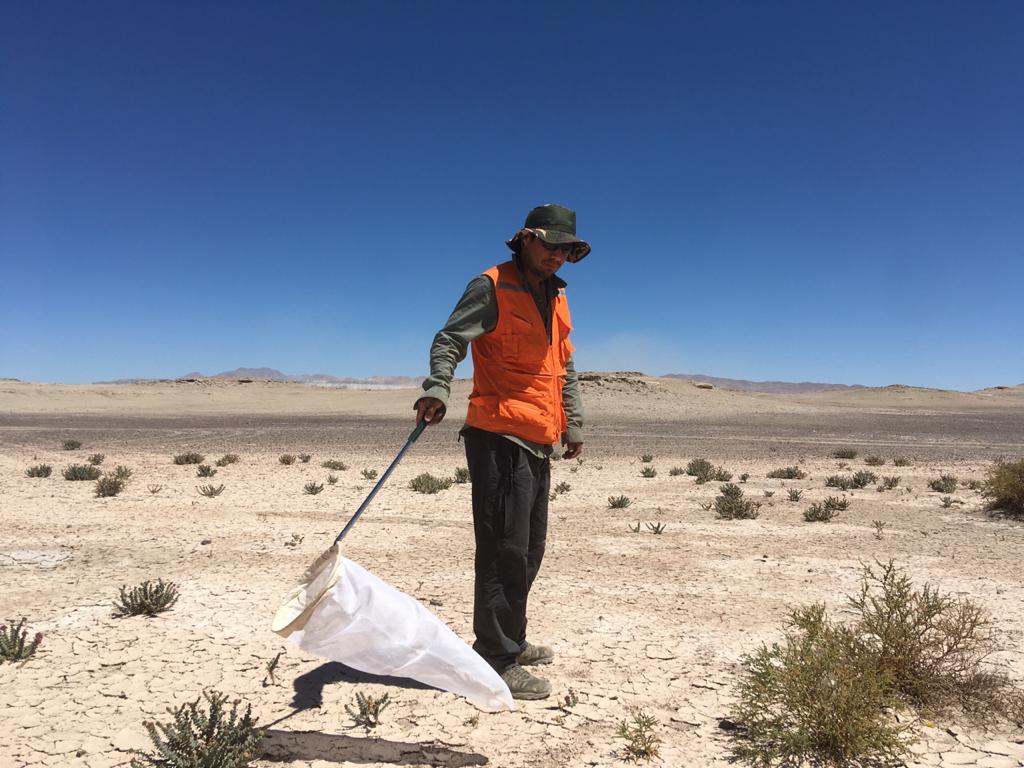 Equipo Vida Silvestre - Pablo