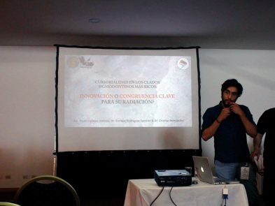 Consultoría Ambiental