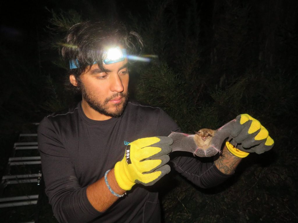 Equipo Vida Silvestre - Paulo