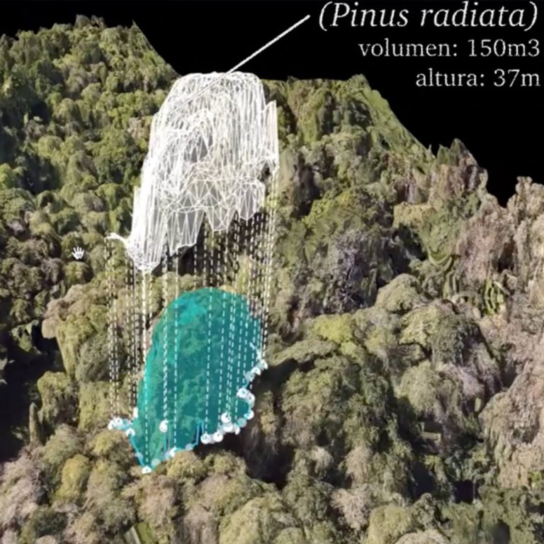 Consultoría Ambiental