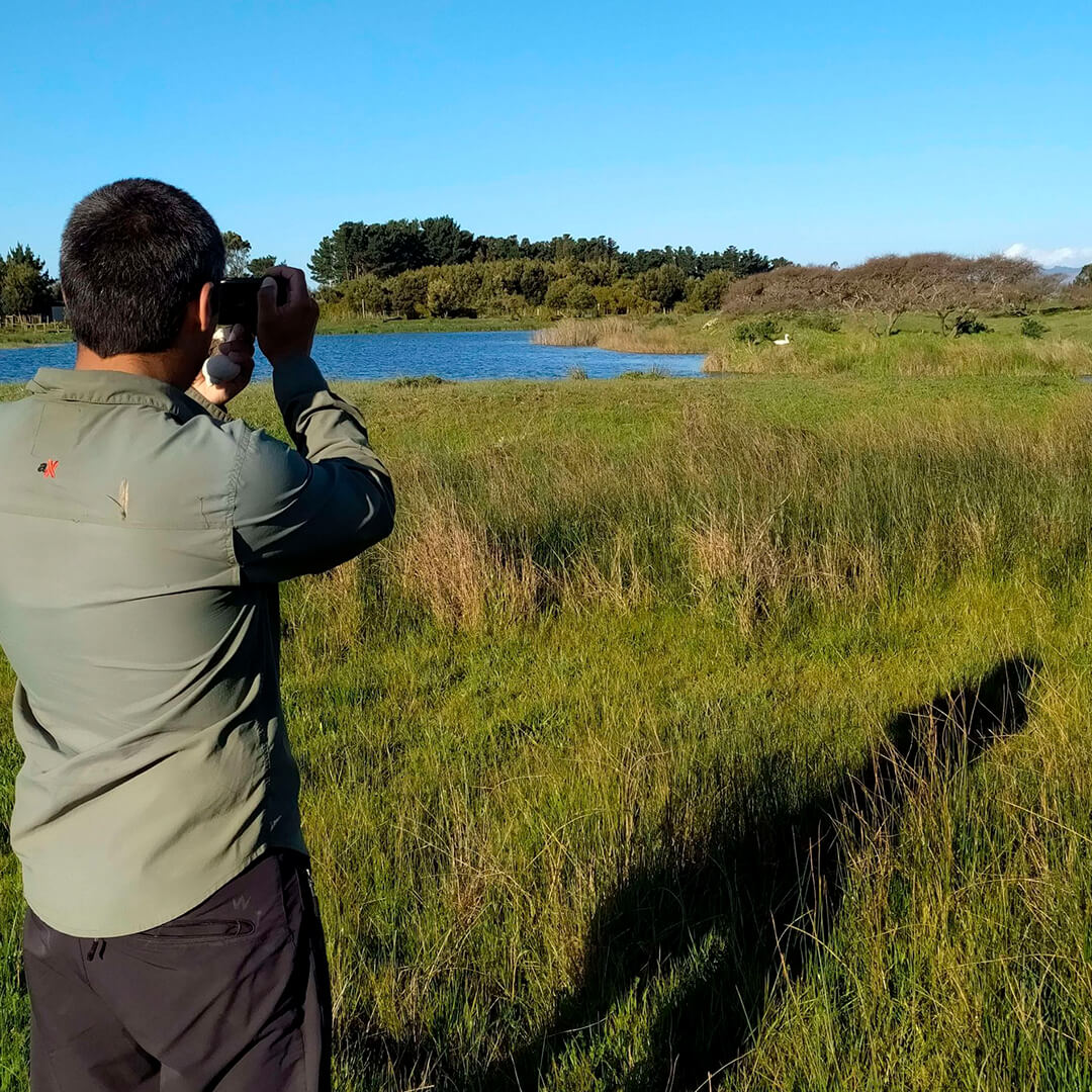 Contacto Vida Silvestre