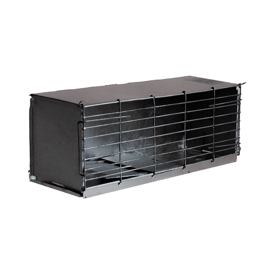 Vida Silvestre - Arriendo de Equipos