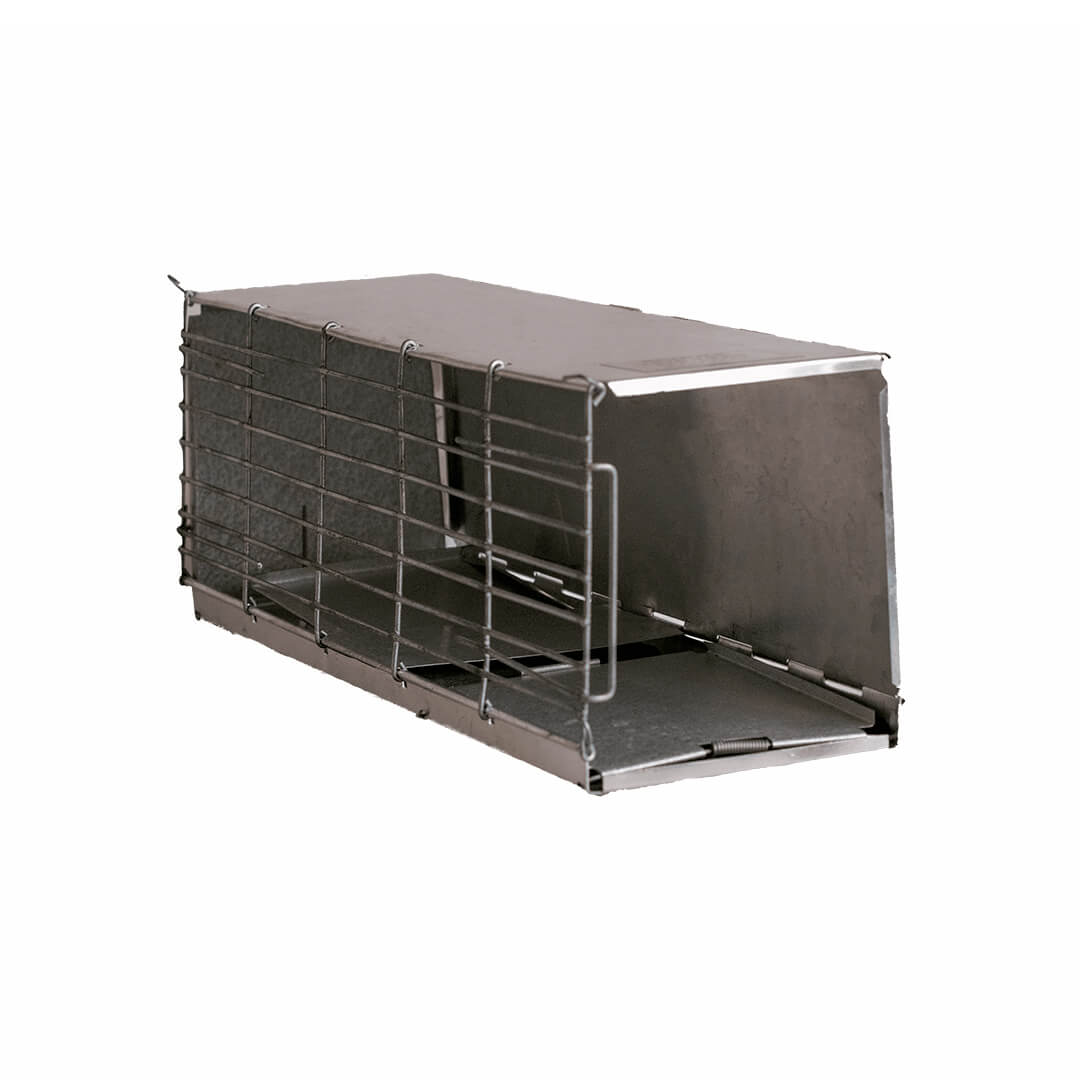 Vida Silvestre - Arriendo de Equipos