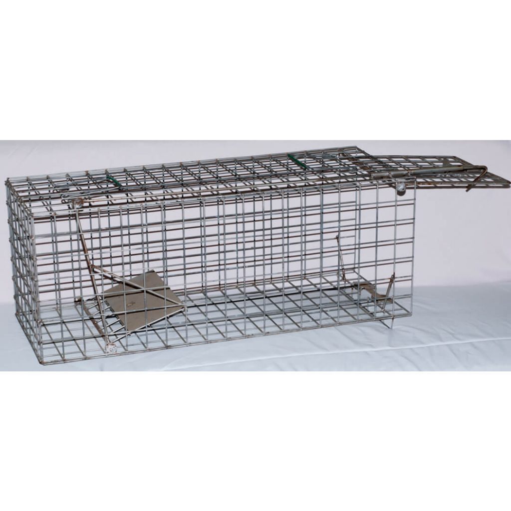 Arriendo de Equipos - Vida Silvestre